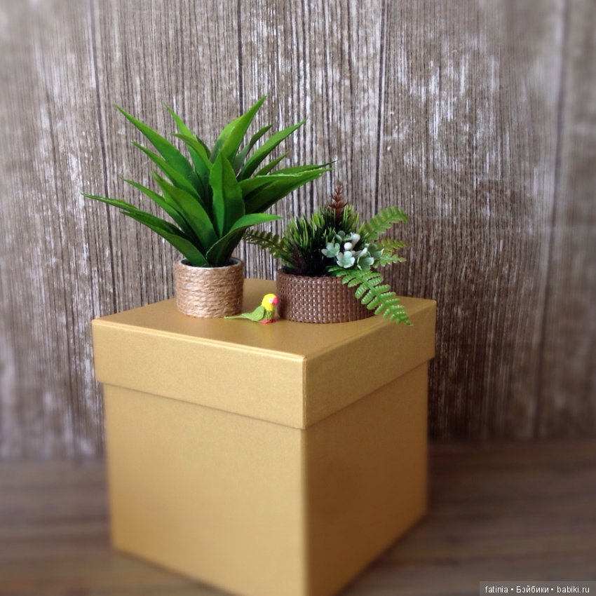 Много растений и немного Флёр среди них (фото 9)