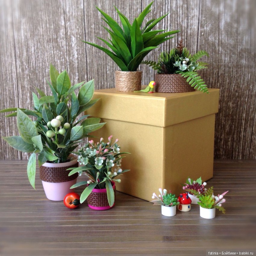 Много растений и немного Флёр среди них