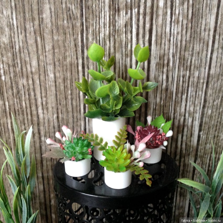 Много растений и немного Флёр среди них