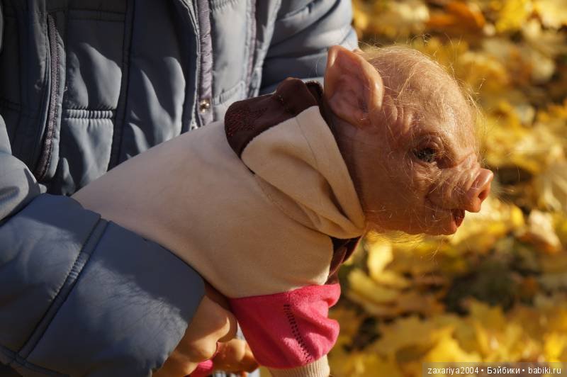 Осенний поросенок Фенечка - кукла реборн Рязановой Елены (фото 4)