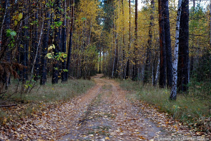 Гулять, так гулять — Куклы Iplehouse (Иплхаус): BJD (БЖД) (фото 4)