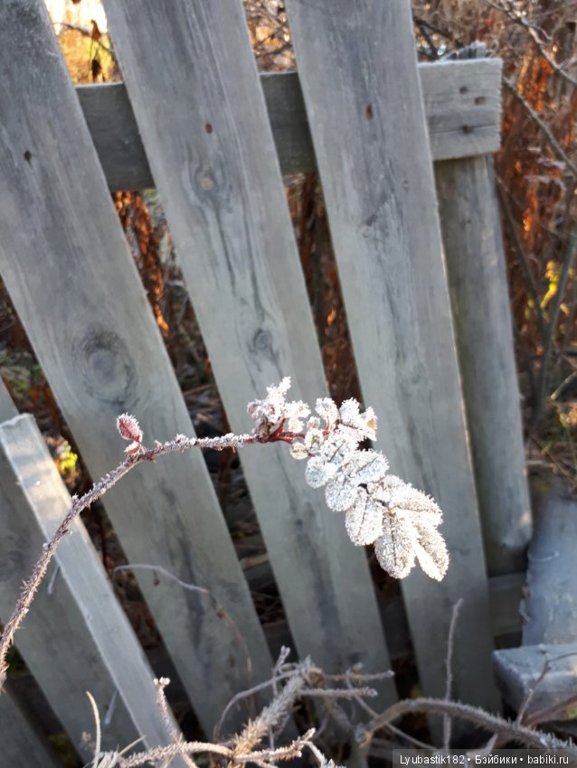 Застывшая красота — Красивая природа и цветы: фото пейзажей (фото 2)