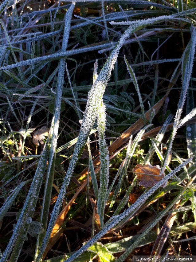 Застывшая красота — Красивая природа и цветы: фото пейзажей (фото 8)