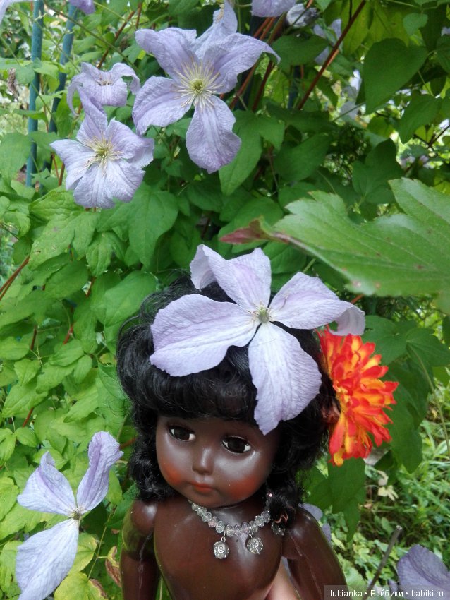 Немного цвета в хмурые дни