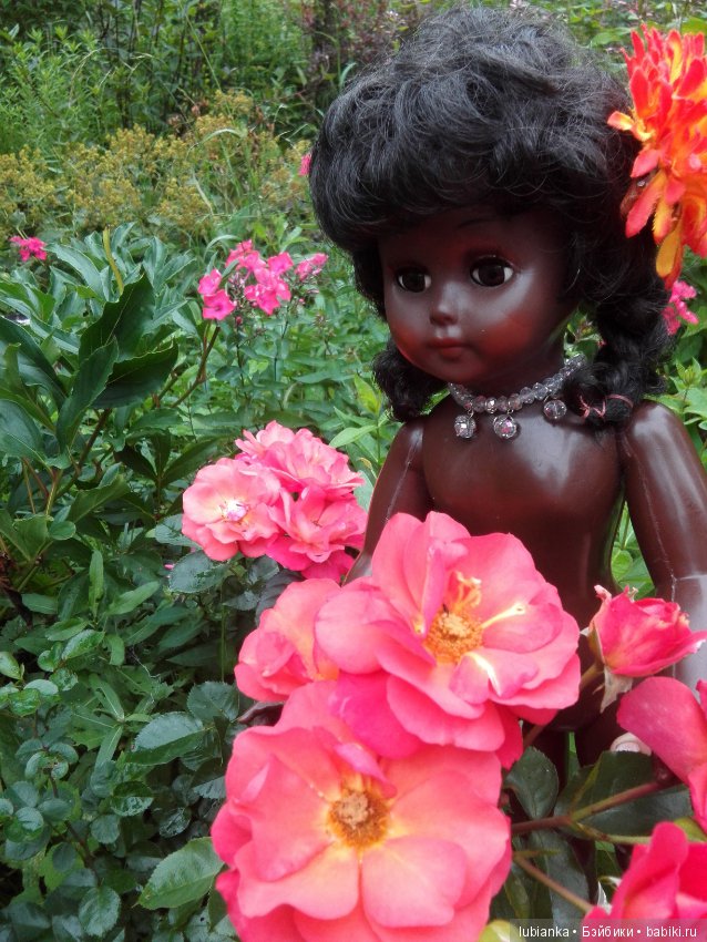 Немного цвета в хмурые дни