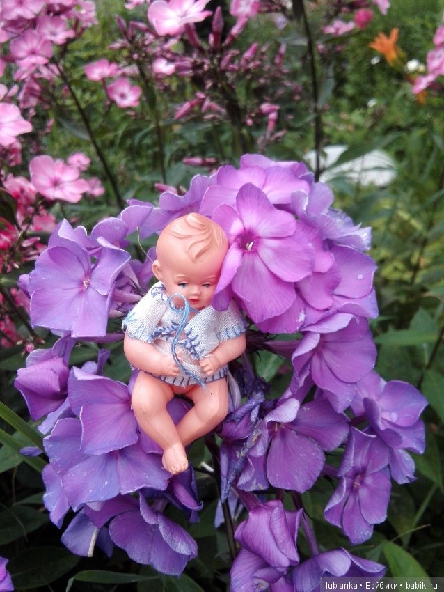 Немного цвета в хмурые дни (фото 9)