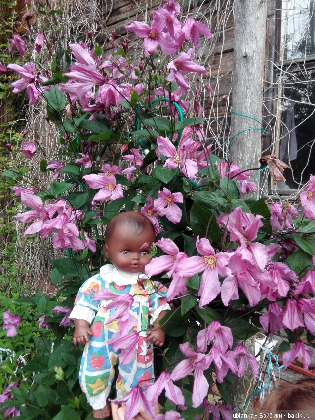 Немного цвета в хмурые дни