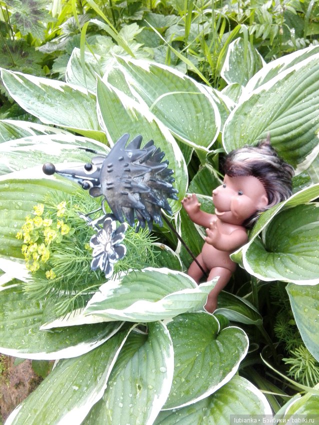 Немного цвета в хмурые дни