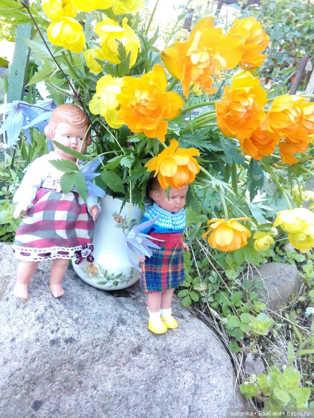 Немного цвета в хмурые дни