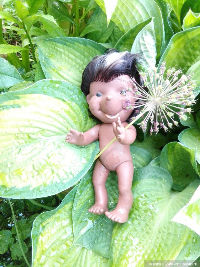 Немного цвета в хмурые дни