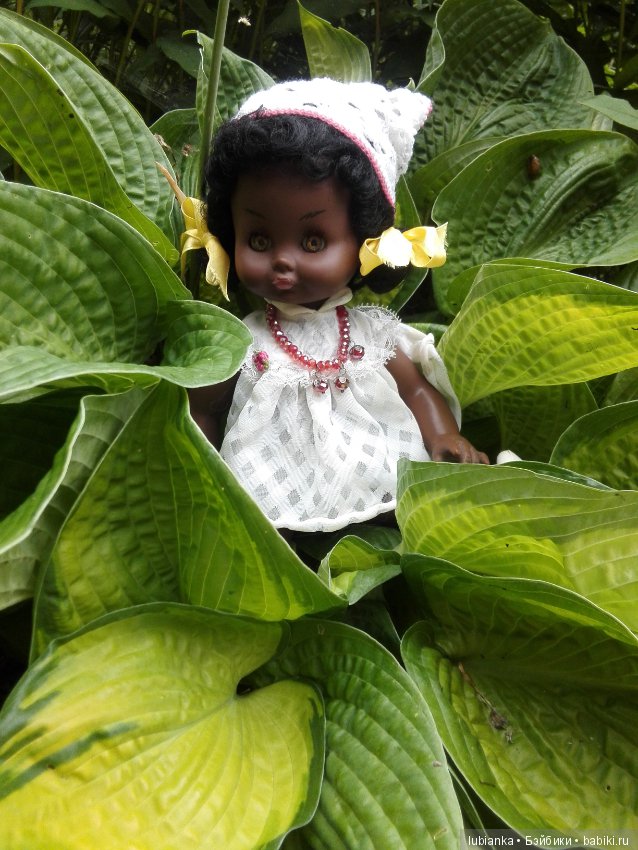 Немного цвета в хмурые дни