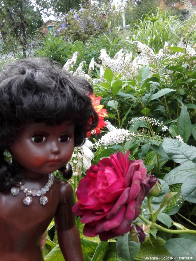 Немного цвета в хмурые дни