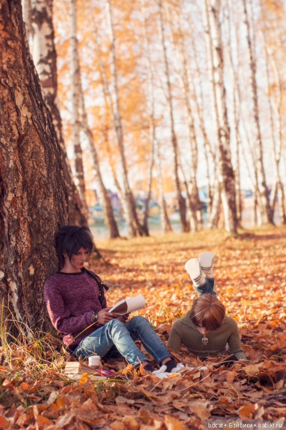 Ее теплая осень 2018 — Куклы Iplehouse (Иплхаус): BJD (БЖД)