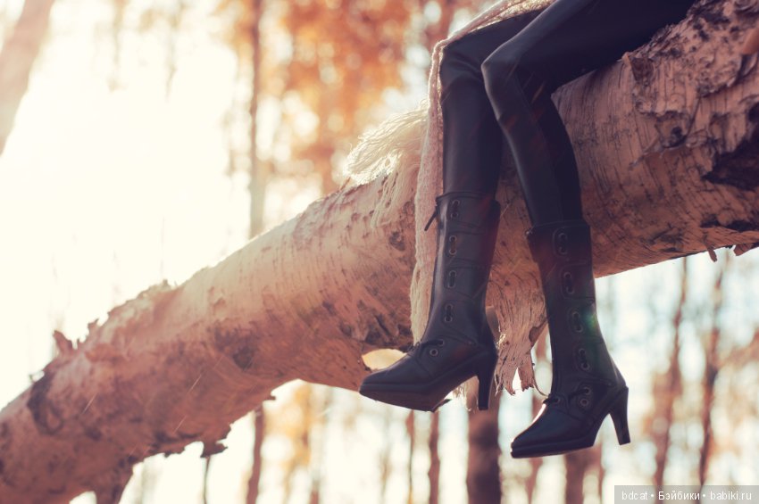 Ее теплая осень 2018 — Куклы Iplehouse (Иплхаус): BJD (БЖД)