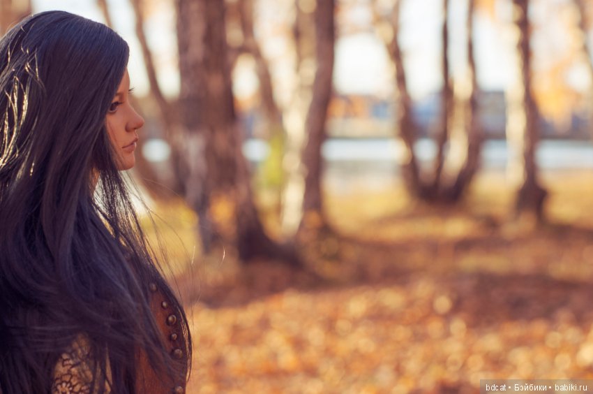 Ее теплая осень 2018 — Куклы Iplehouse (Иплхаус): BJD (БЖД)