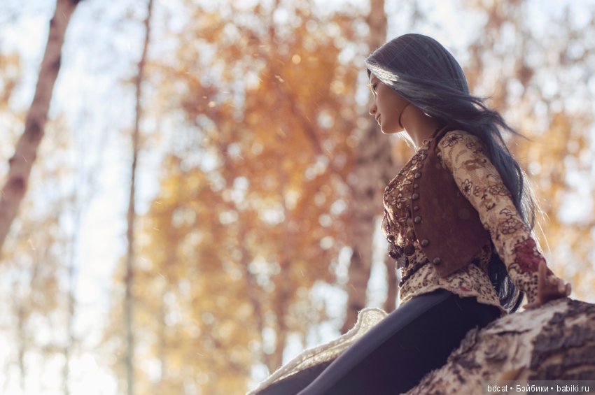 Ее теплая осень 2018 — Куклы Iplehouse (Иплхаус): BJD (БЖД)