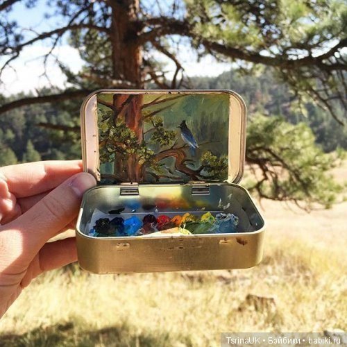 Миниатюрные пейзажи от художницы Хейди Аннализ (фото 8)