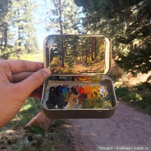 Миниатюрные пейзажи от художницы Хейди Аннализ (фото 9)