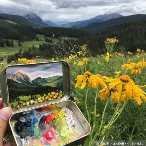 Миниатюрные пейзажи от художницы Хейди Аннализ