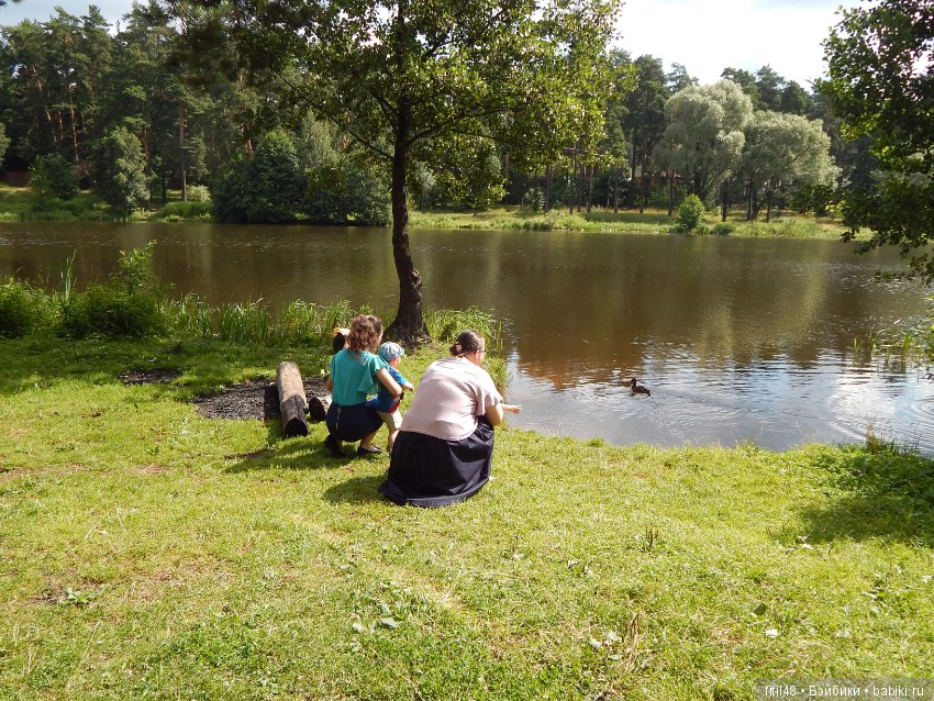Как мы отмечали День железнодорожника (фото 5)