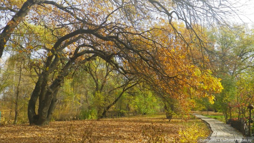 Осень...Осень — Болталка и разговоры обо всем: жизнь