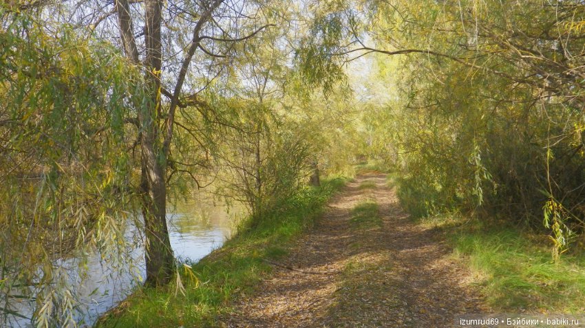 Осень...Осень — Болталка и разговоры обо всем: жизнь