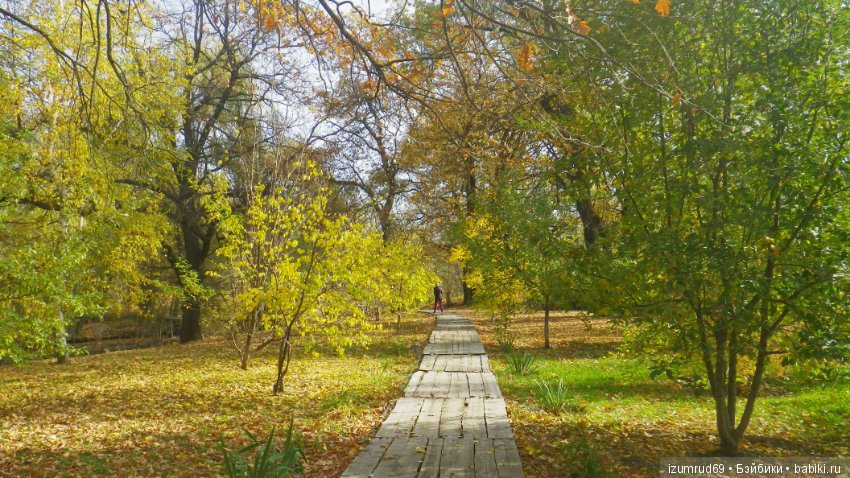 Осень...Осень — Болталка и разговоры обо всем: жизнь (фото 4)