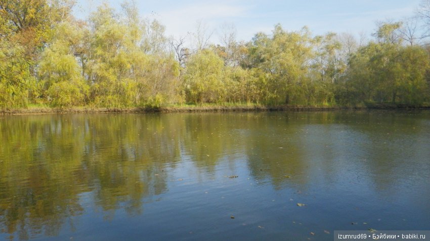 Осень...Осень — Болталка и разговоры обо всем: жизнь