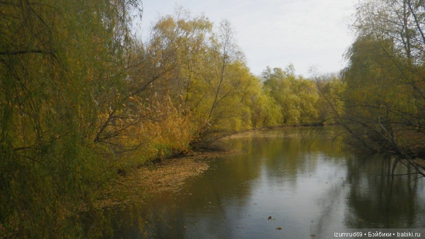 Осень...Осень — Болталка и разговоры обо всем: жизнь (фото 6)