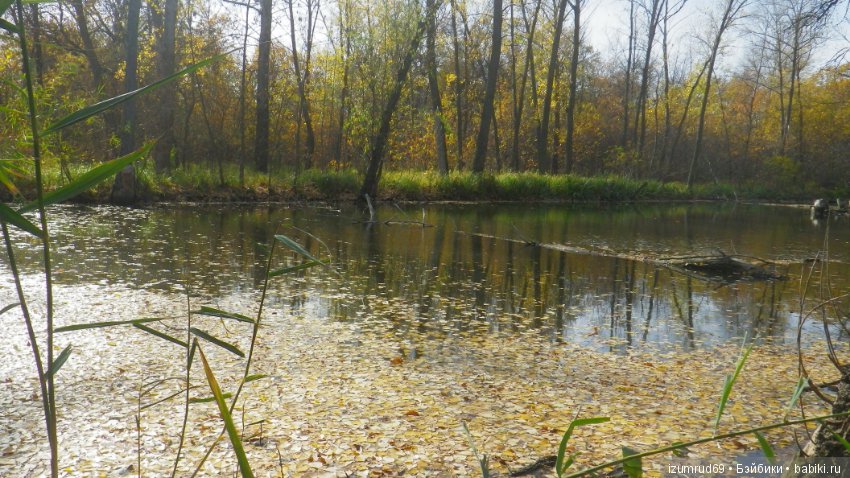 Осень...Осень — Болталка и разговоры обо всем: жизнь