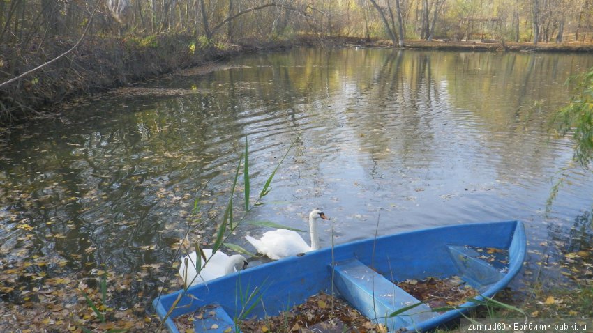 Осень...Осень — Болталка и разговоры обо всем: жизнь
