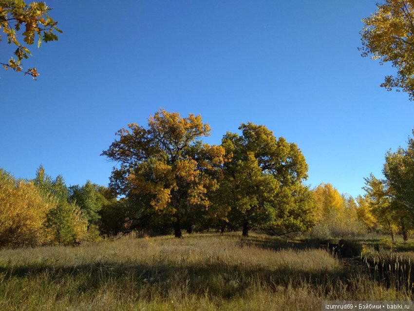 Осень...Осень — Болталка и разговоры обо всем: жизнь