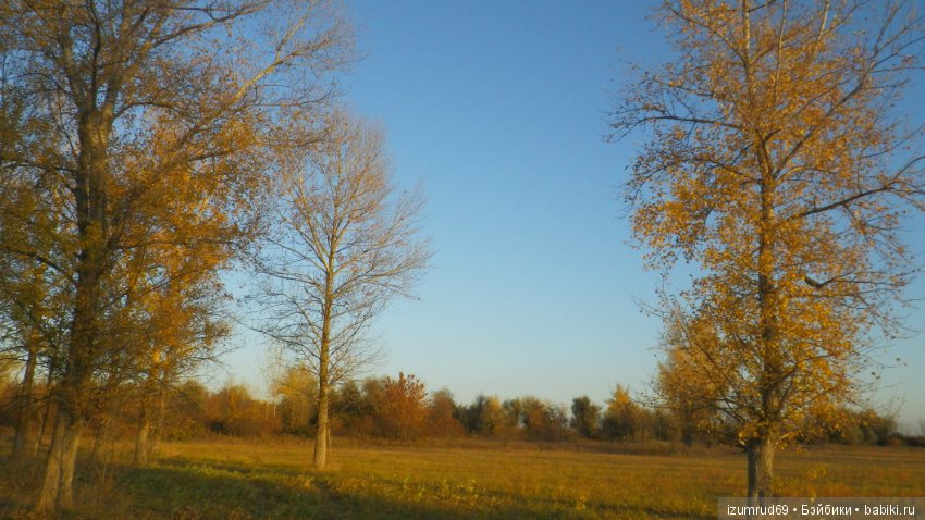 Осень...Осень — Болталка и разговоры обо всем: жизнь