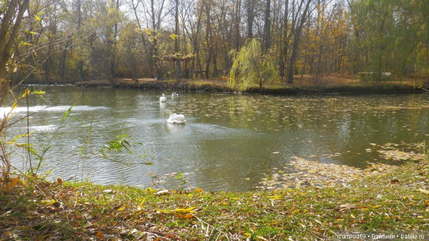 Осень...Осень — Болталка и разговоры обо всем: жизнь