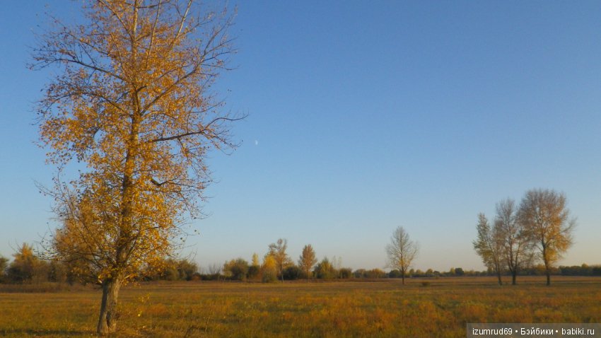 Осень...Осень — Болталка и разговоры обо всем: жизнь