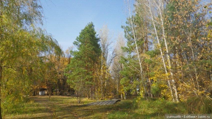 Осень...Осень — Болталка и разговоры обо всем: жизнь