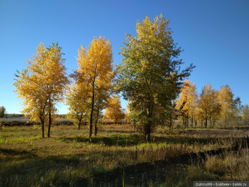 Осень...Осень — Болталка и разговоры обо всем: жизнь