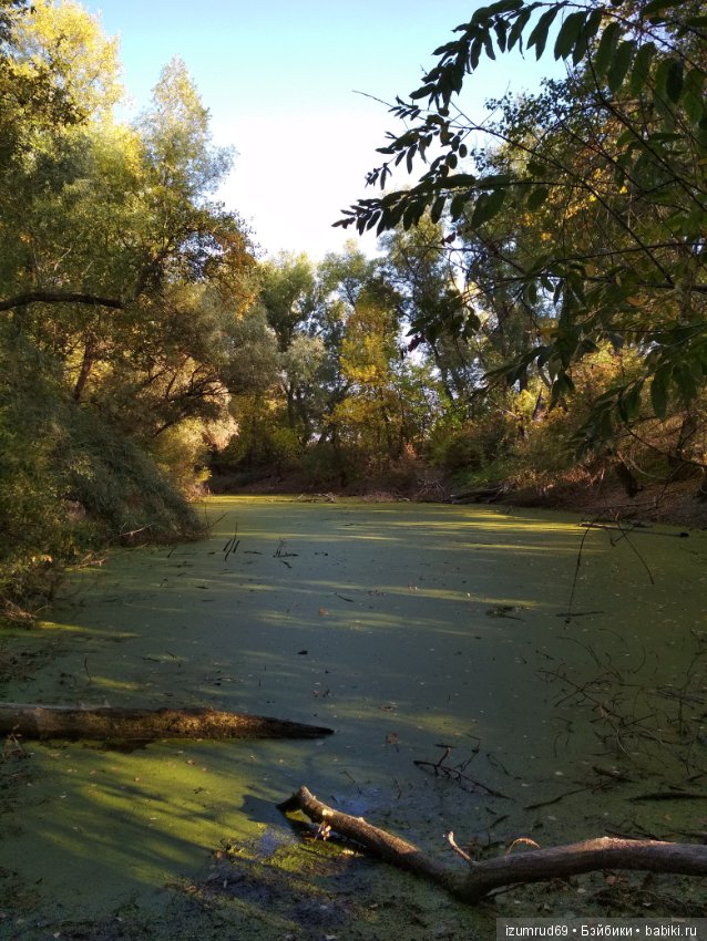 Осень...Осень — Болталка и разговоры обо всем: жизнь