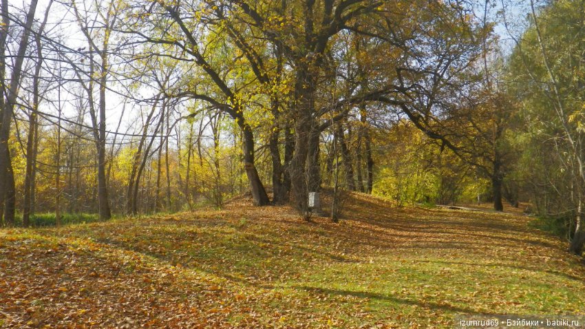 Осень...Осень — Болталка и разговоры обо всем: жизнь