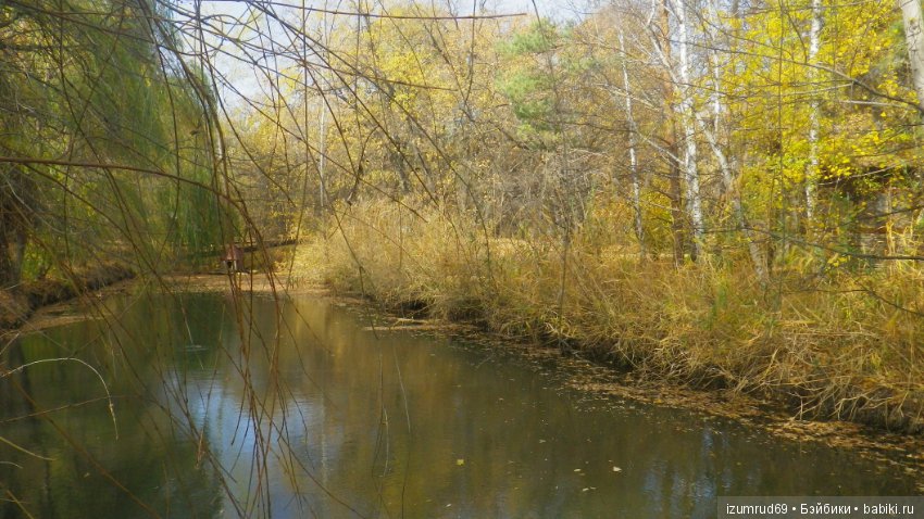 Осень...Осень — Болталка и разговоры обо всем: жизнь (фото 5)