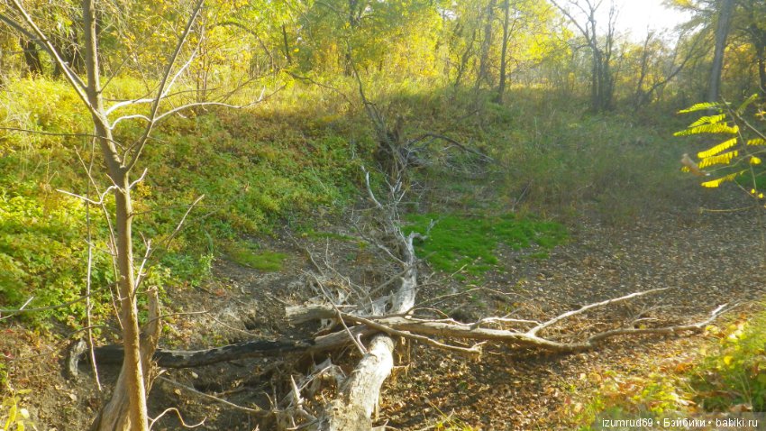 Осень...Осень — Болталка и разговоры обо всем: жизнь