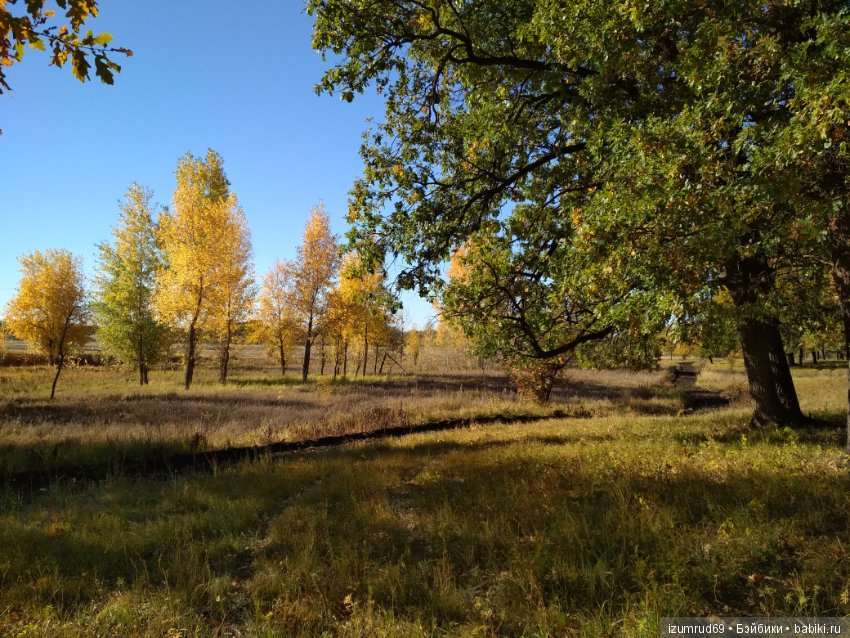 Осень...Осень — Болталка и разговоры обо всем: жизнь
