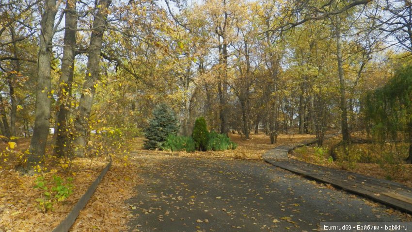 Осень...Осень — Болталка и разговоры обо всем: жизнь (фото 2)