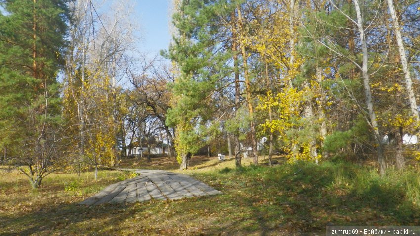 Осень...Осень — Болталка и разговоры обо всем: жизнь