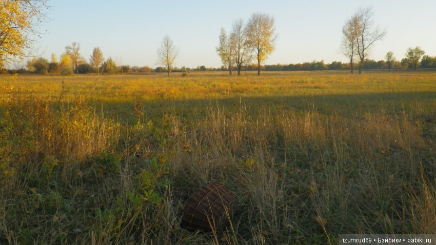 Осень...Осень — Болталка и разговоры обо всем: жизнь
