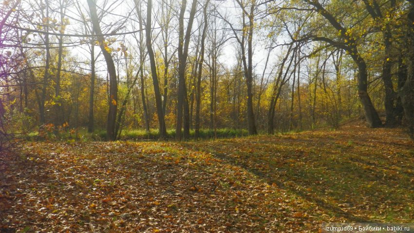 Осень...Осень — Болталка и разговоры обо всем: жизнь