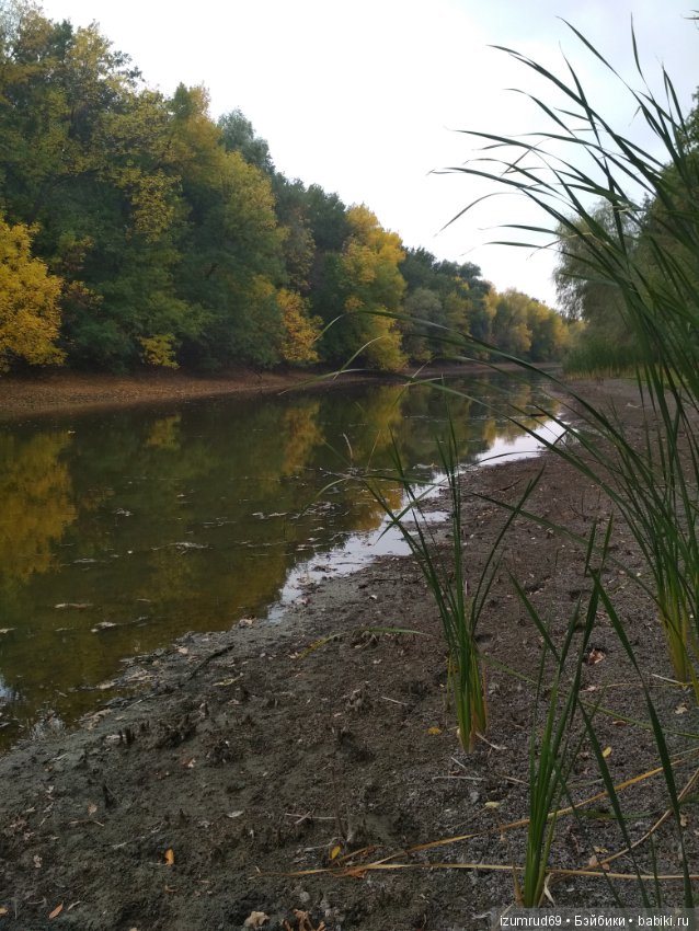 Осень...Осень — Болталка и разговоры обо всем: жизнь