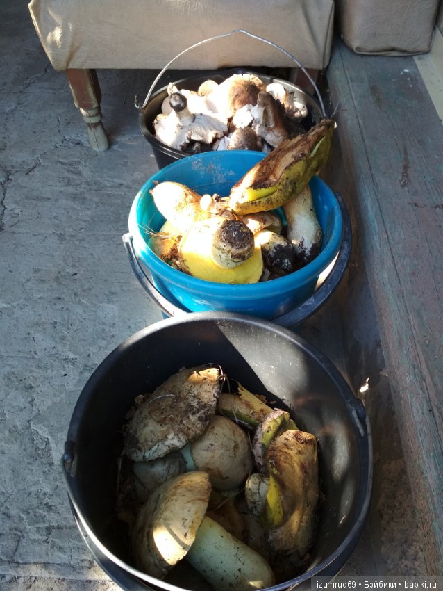 Осень...Осень — Болталка и разговоры обо всем: жизнь