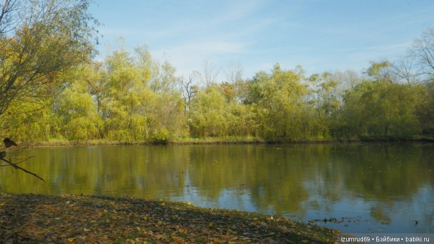 Осень...Осень — Болталка и разговоры обо всем: жизнь