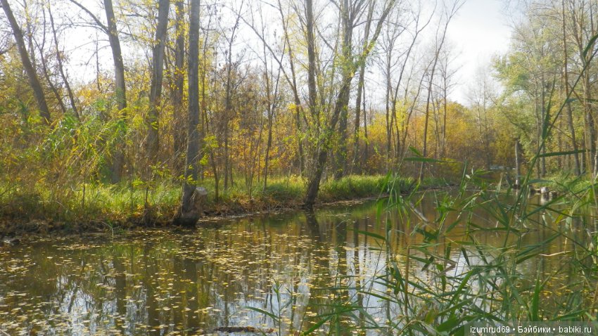 Осень...Осень — Болталка и разговоры обо всем: жизнь